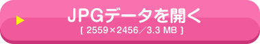 JPGデータを開く[ 2559×2456／3.3 MB ]