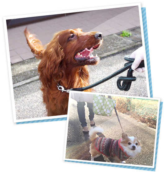イメージ写真