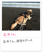 投稿写真：海辺　1