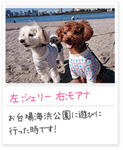 投稿写真：海辺　3