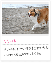 投稿写真：海辺　4