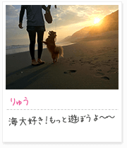 投稿写真：海辺　6