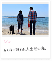 投稿写真：海辺　7
