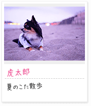 投稿写真：海辺　8