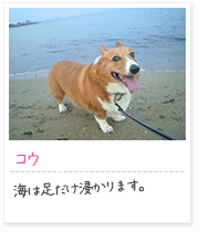 投稿写真：海辺　9