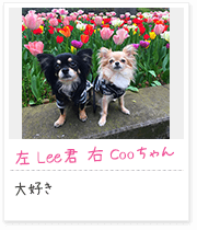 投稿写真：花に囲まれて　1