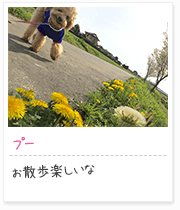 投稿写真：花に囲まれて　2