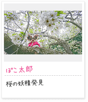 投稿写真：花に囲まれて　4