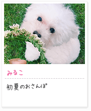 投稿写真：花に囲まれて　7