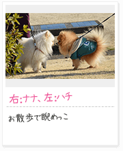 投稿写真：仲良し　1