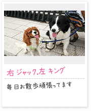 投稿写真：仲良し　10