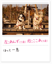 投稿写真：仲良し　2