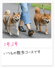 投稿写真：仲良し　3
