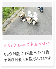 投稿写真：仲良し　4