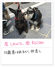 投稿写真：仲良し　5