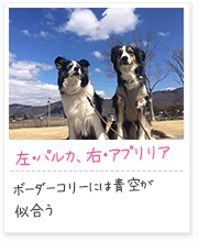 投稿写真：仲良し　6