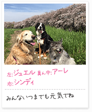投稿写真：仲良し　7