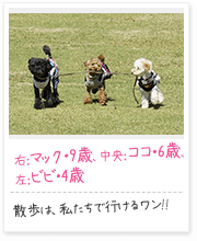 投稿写真：仲良し　8
