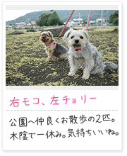 投稿写真：仲良し　9