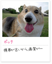 投稿写真：笑顔　1