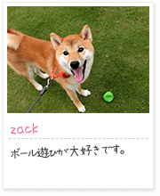 投稿写真：笑顔　10