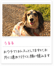 投稿写真：笑顔　2