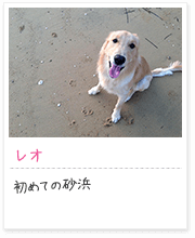 投稿写真：笑顔　3