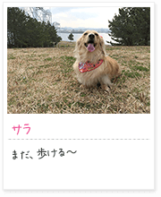 投稿写真：笑顔　4