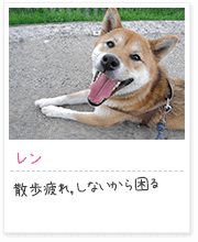 投稿写真：笑顔　5