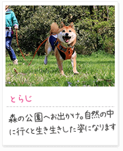 投稿写真：笑顔　6