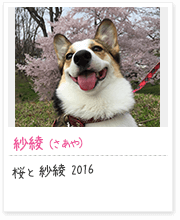 投稿写真：笑顔　7