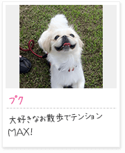 投稿写真：笑顔　8