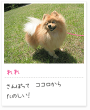 投稿写真：笑顔　9