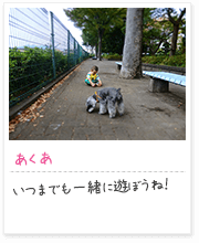 投稿写真：大好きな家族と　3