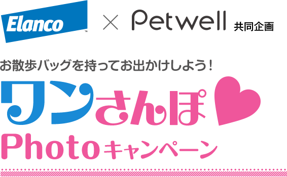 Elanco × Petwell 共同企画　お散歩バッグを持ってお出かけしよう！　ワンさんぽPhotoキャンペーン