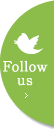Follow us