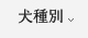 犬種別
