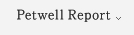 Petwell Report