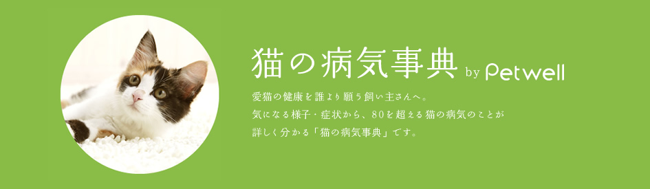 猫の病気事典　byPetwell：愛猫の健康を誰より願う飼い主さんへ。気になる様子・症状から、80を超える猫の病気のことが詳しく分かる「猫の病気事典」です。