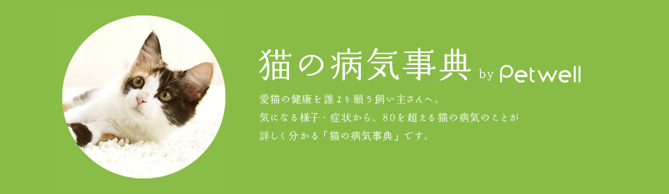 猫の病気事典　byPetwell：愛猫の健康を誰より願う飼い主さんへ。気になる様子・症状から、80を超える猫の病気のことが詳しく分かる「猫の病気事典」です。