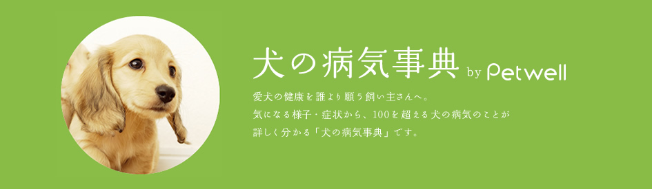 犬の病気事典　byPetwell：愛犬の健康を誰より願う飼い主さんへ。気になる様子・症状から、100を超える犬の病気のことが詳しく分かる「犬の病気事典」です。