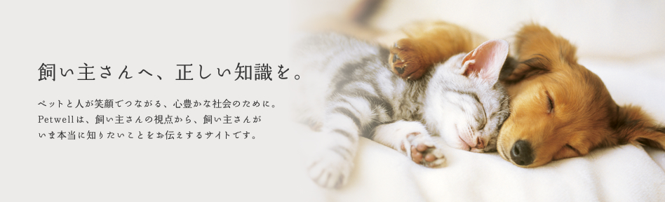 飼い主さんへ、正しい知識を。