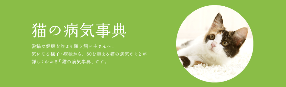 猫の病気事典　byPetwell：愛猫の健康を誰より願う飼い主さんへ。気になる様子・症状から、80を超える猫の病気のことが詳しく分かる「猫の病気事典」です。