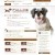 news-eyecatch-201111111710 news-eyecatch-201111111710